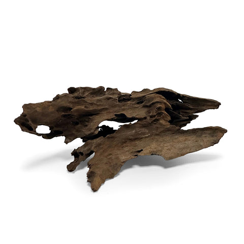 SR Aquaristik Malaysian Mangrove Driftwood Large 40-50cm / 15.5-19.5"