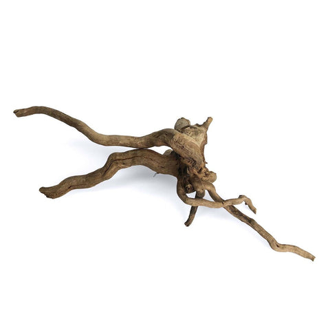SR Aquaristik Black Spider Wood Medium 30-40cm / 12"-15.5" - SRA 3159